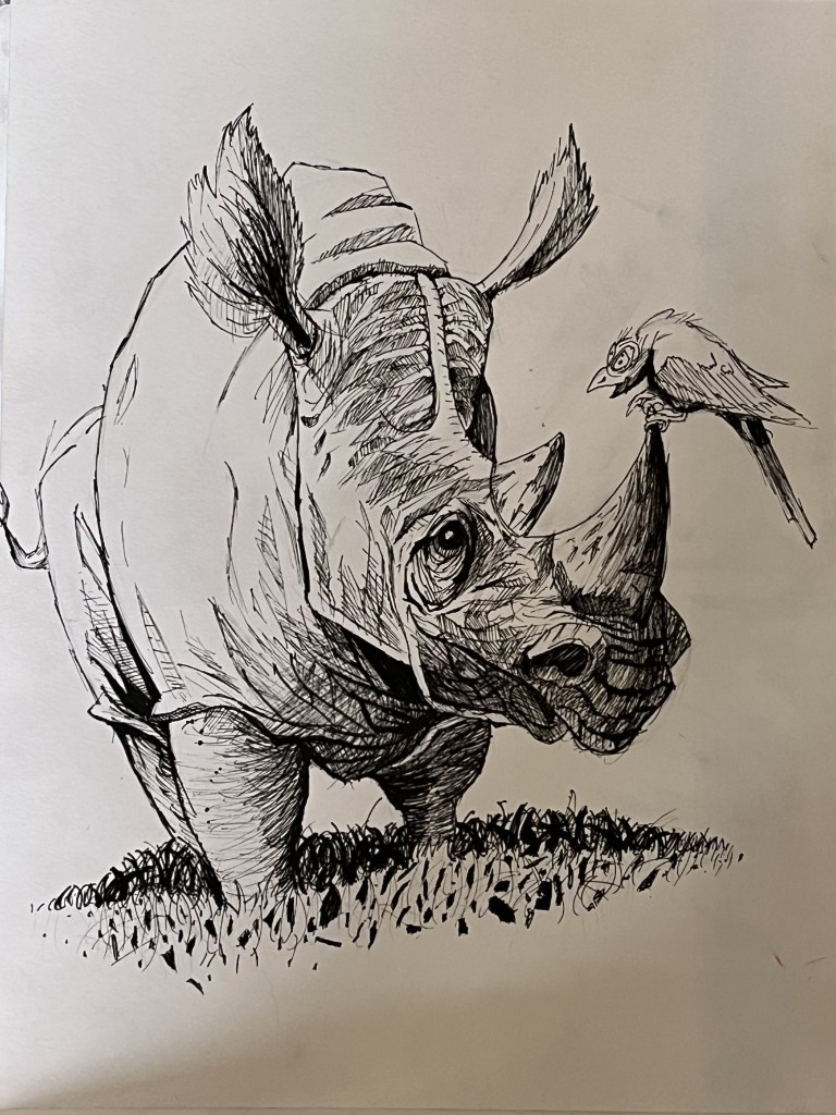 Rhino ink drawing